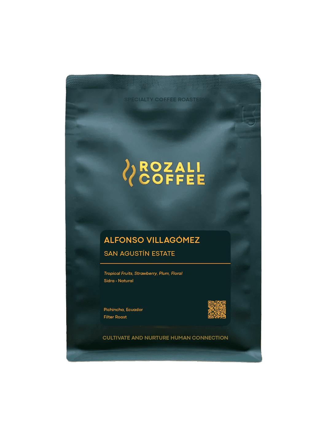 Image of Alfonso Villagómez Sidra