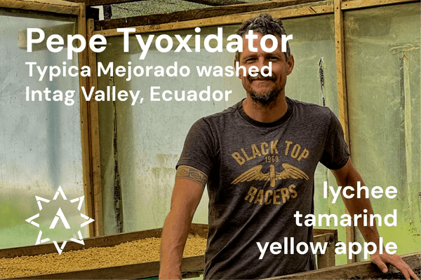 Image of Pepe Jijon Tyoxidator