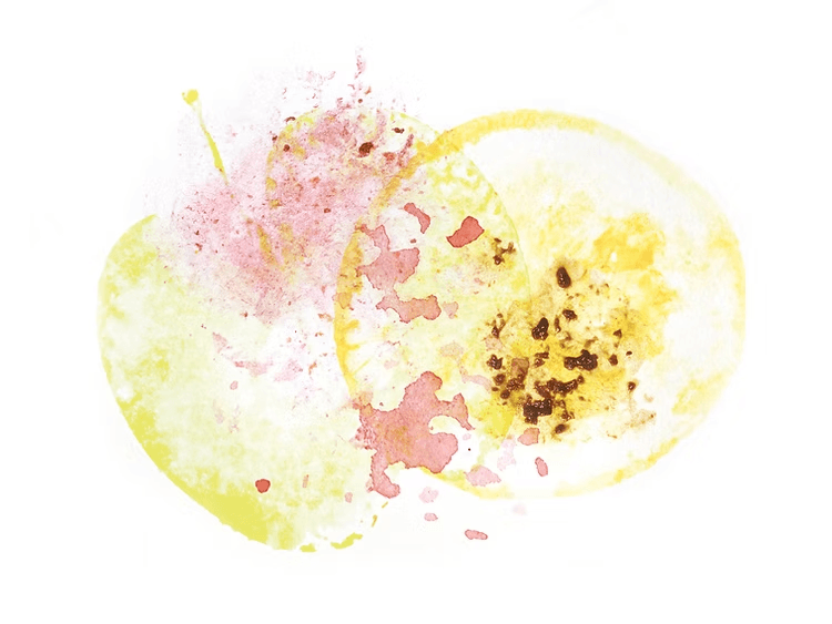 Image of Panama Ninety Plus - 23163