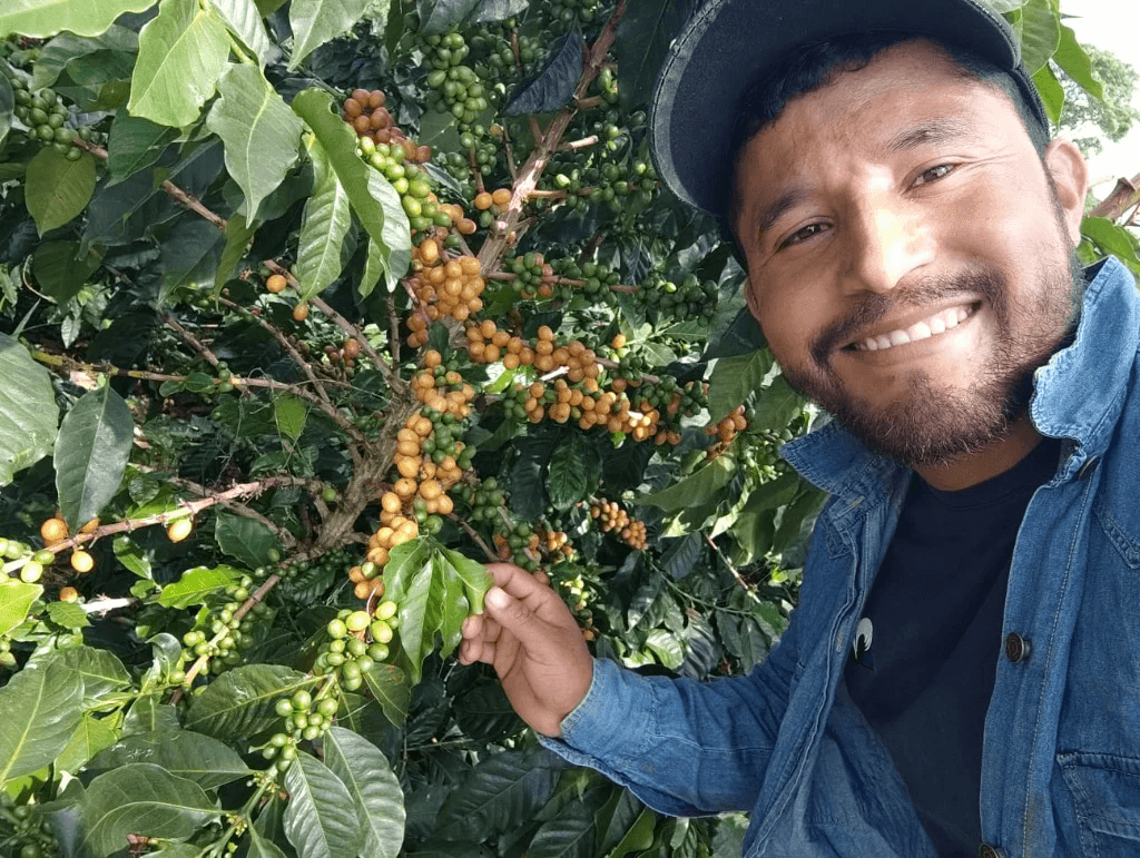 Image of Edinson Argote Finca Quebraditas Orange Bourbon