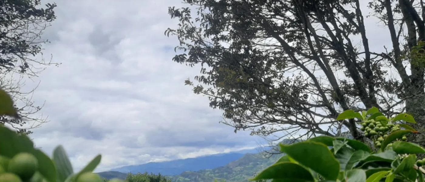 Image of Ecuador Eladio Chamba