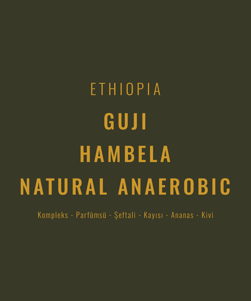 Image of Ethiopia - Guji Hambela Natural Anaerobic Heirloom