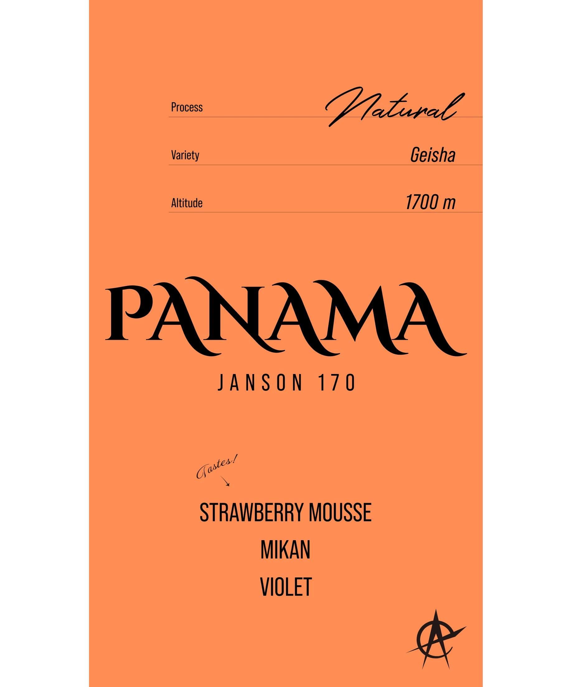 Image of Panama Janson 170, Geisha - Natural