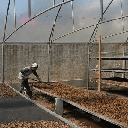 Image of Los Cipreses Special Black Honey - West Valley