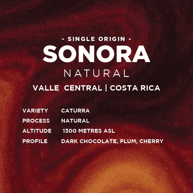 Image of Costa Rica Sonora Natural