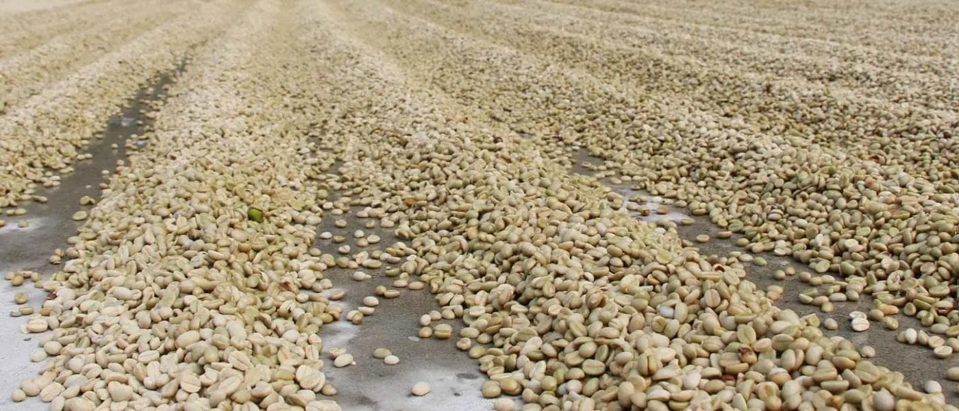 Image of Colombia Rodrigo Cortez