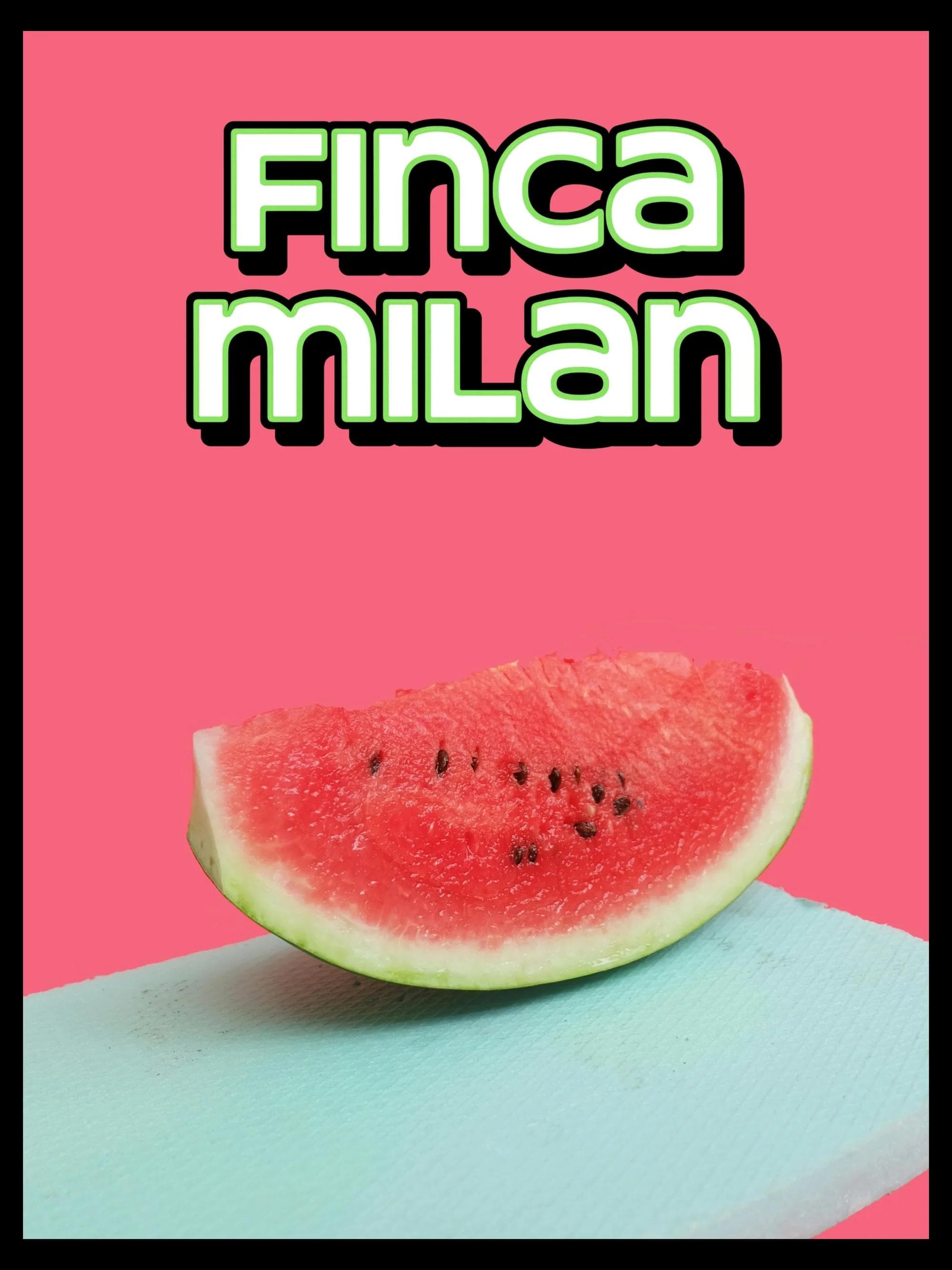 Image of Finca Milan Colombia