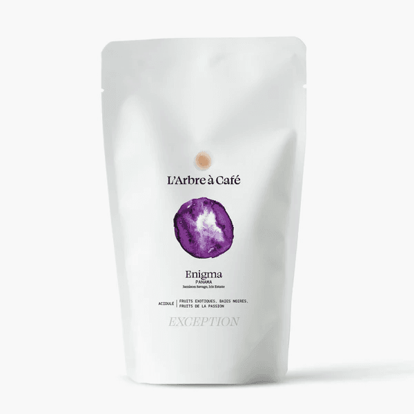 Image of Enigma Panama