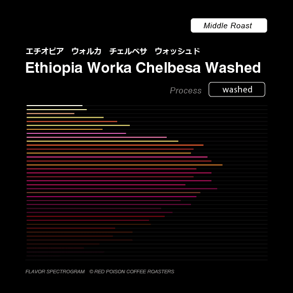 Image of Ethiopia Worka Chelbesa Washed