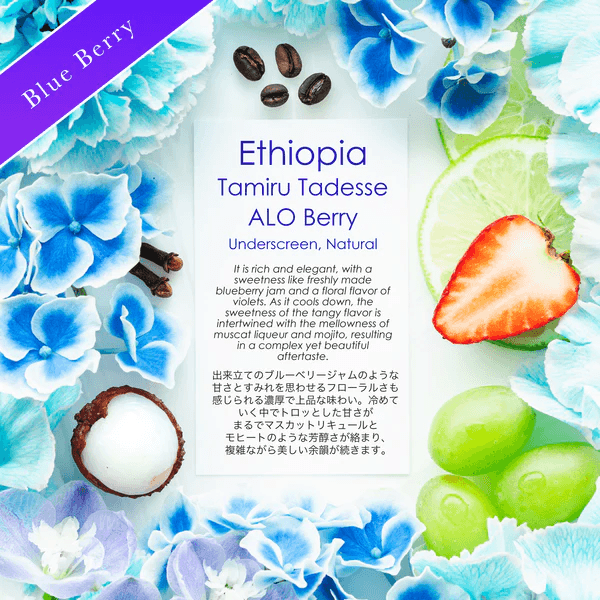 Image of Tamiru Tadesse ALO Berry Underscreen