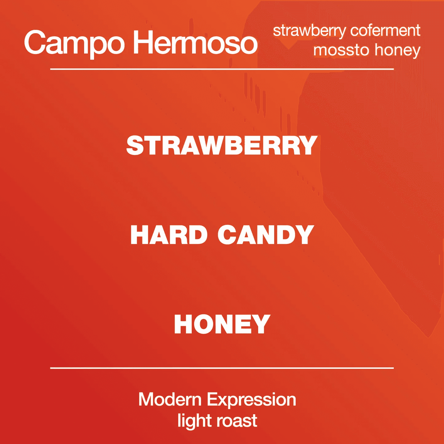 Image of Strawberry Co-Ferment