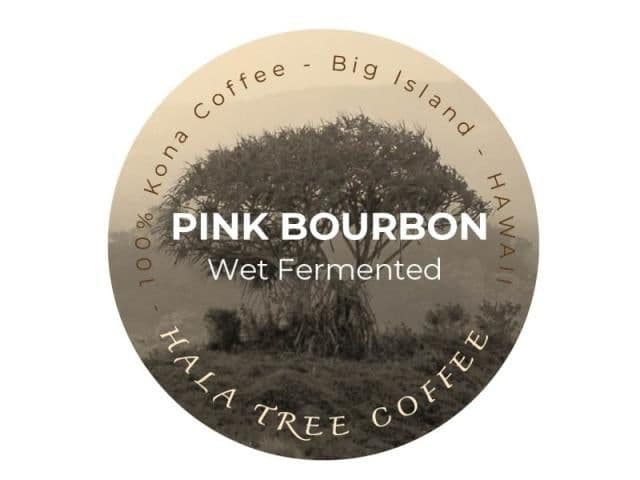 Image of Kona Pink Bourbon - Hala Tree Auction Lot