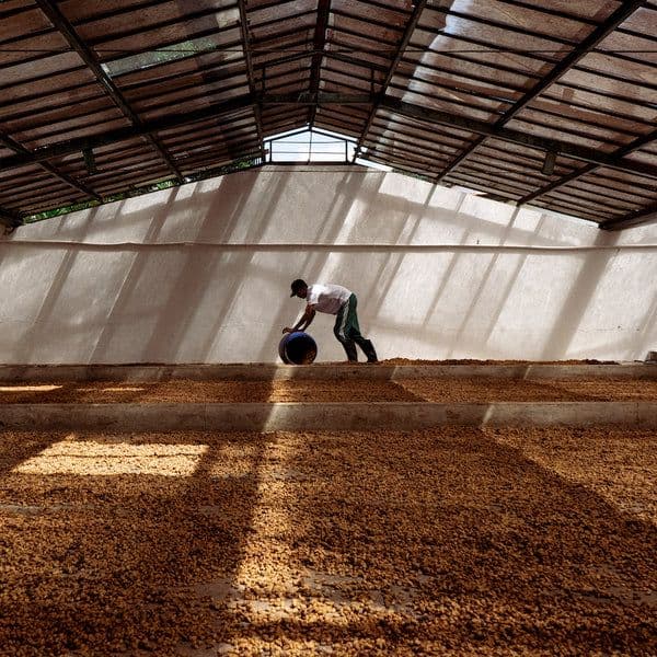 Image of Colombia El Placer Co-Fermented Red Fruits