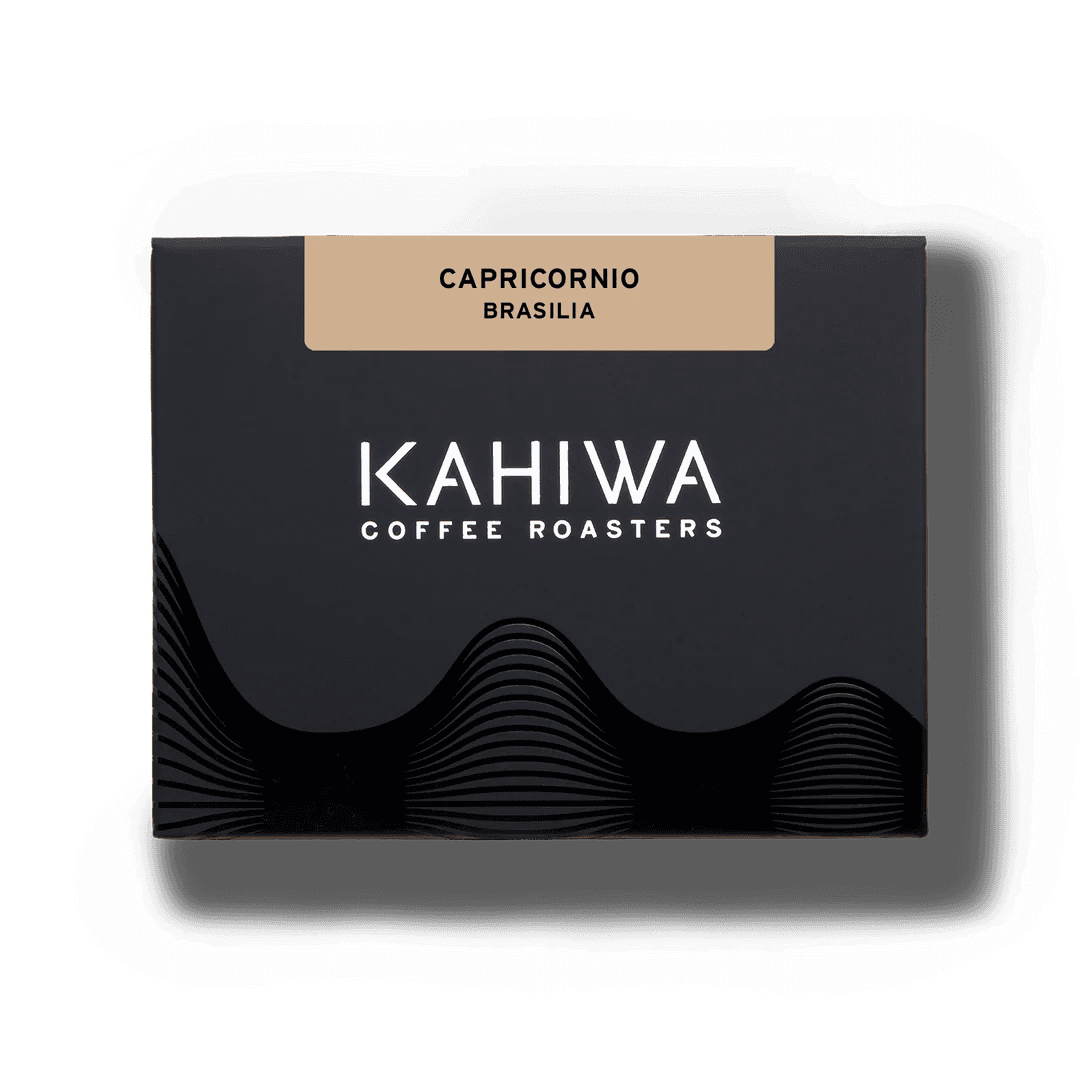 Image of Capricornio