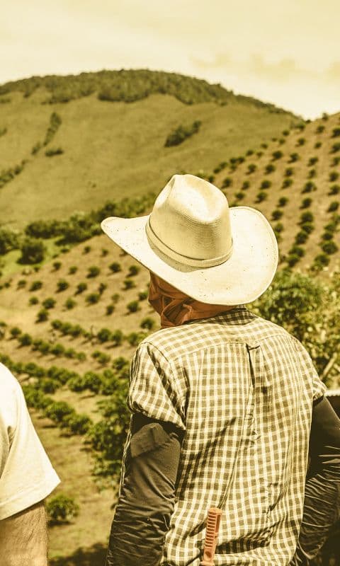 Image of Las Perlitas