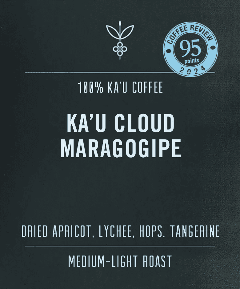 Image of Kau Cloud Maragogipe 