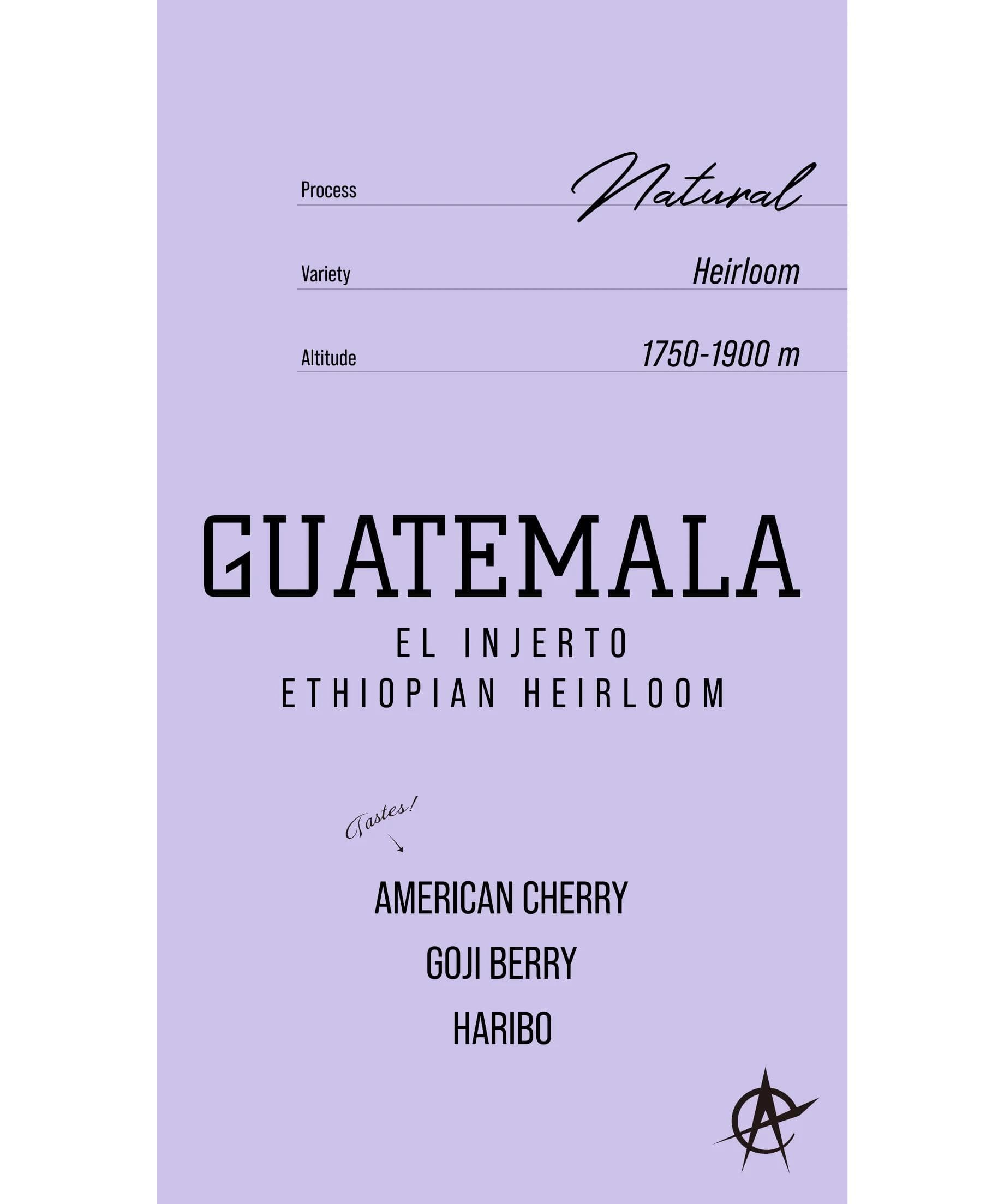 Image of Guatemala El Injerto, Ethiopian Heirloom - Natural