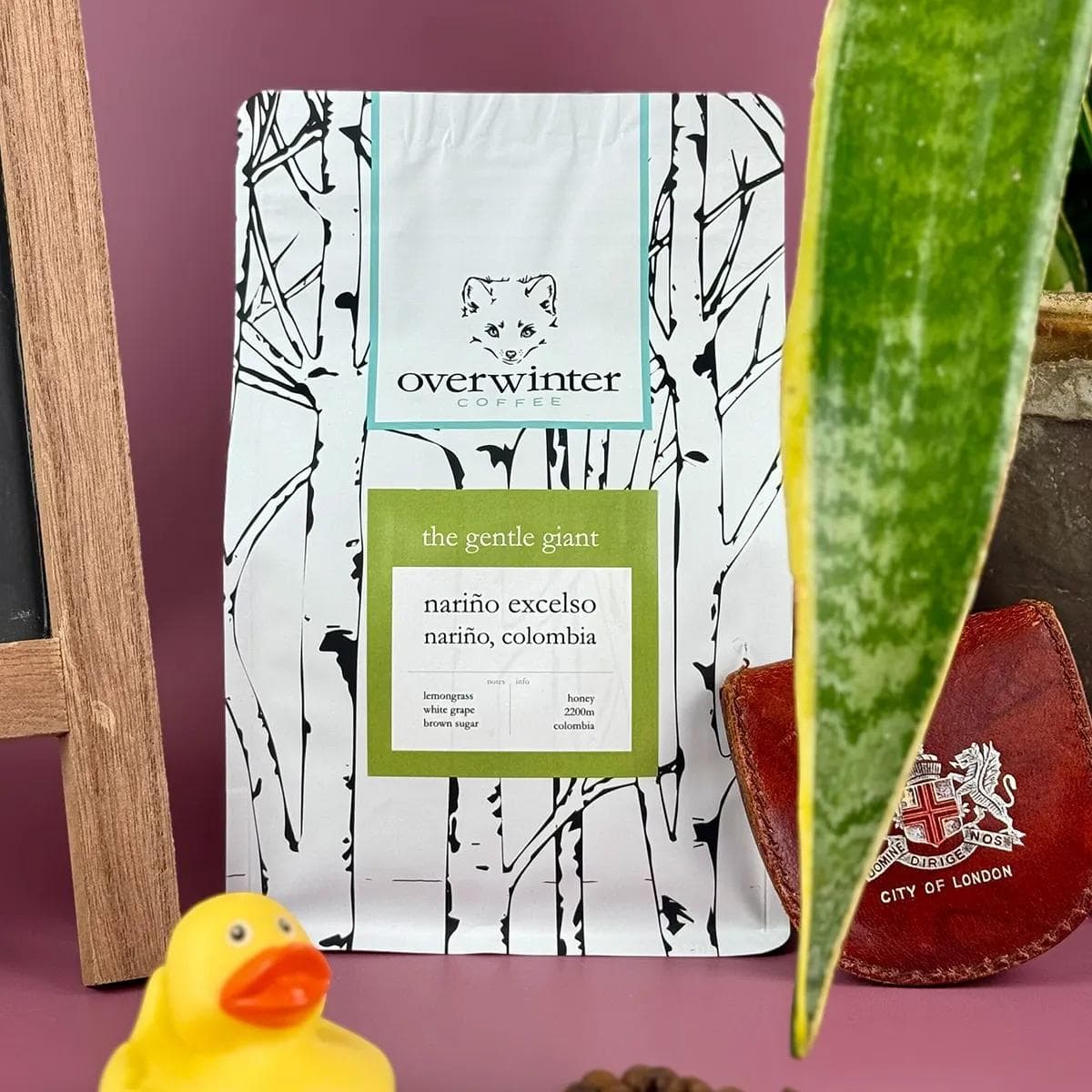 Image of The Gentle Giant