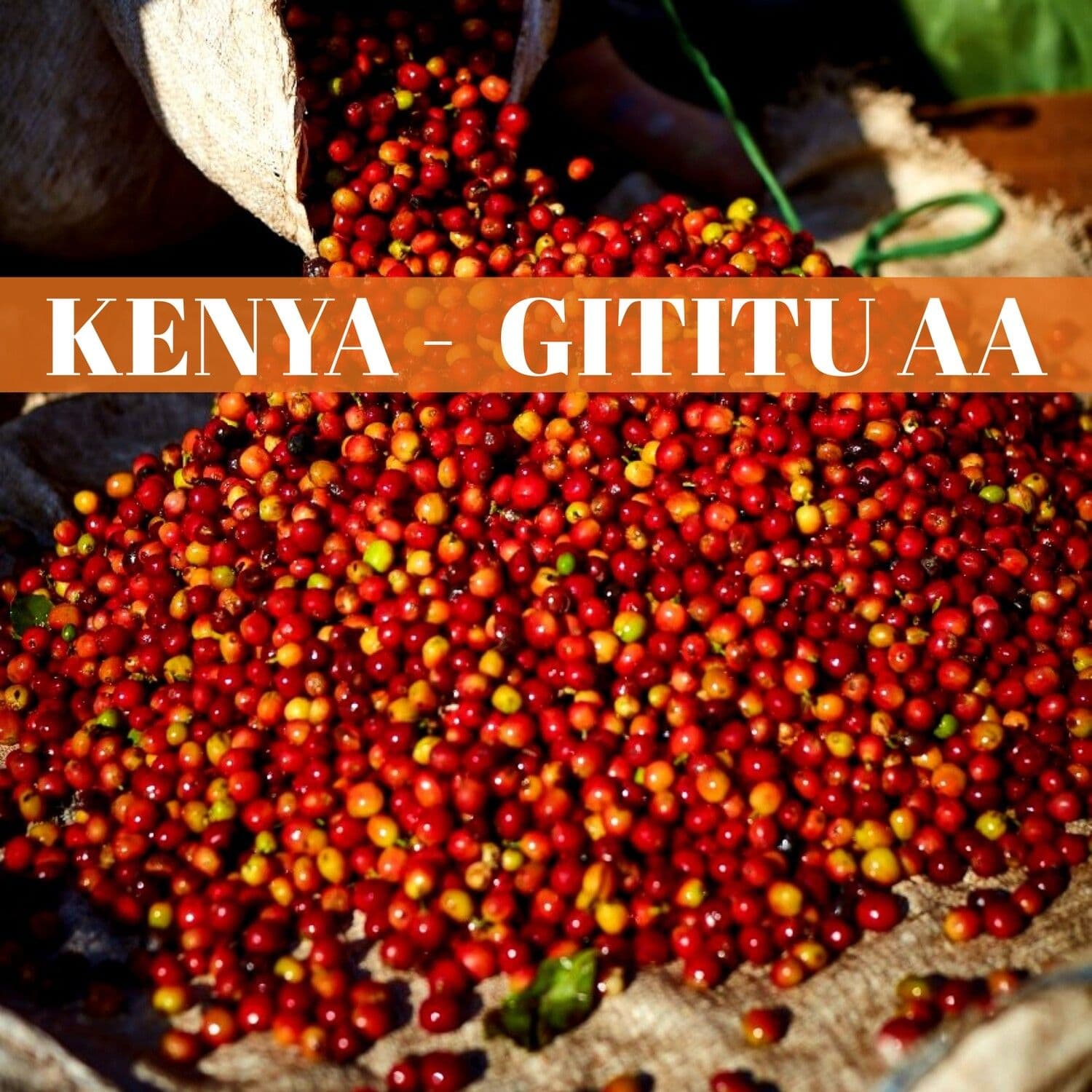 Image of Kenya - Gititu AA