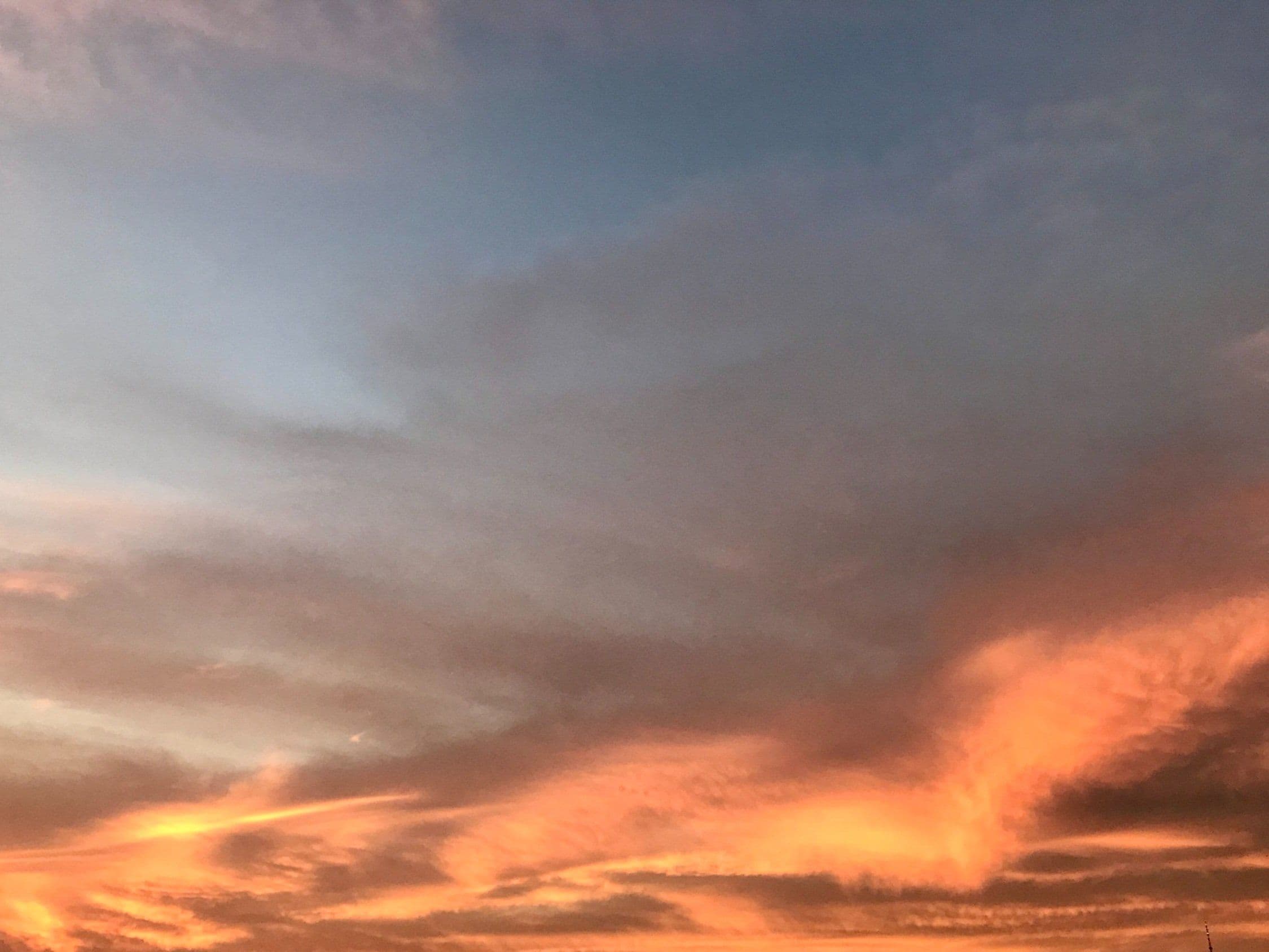 Image of Decaffeinated Colombia