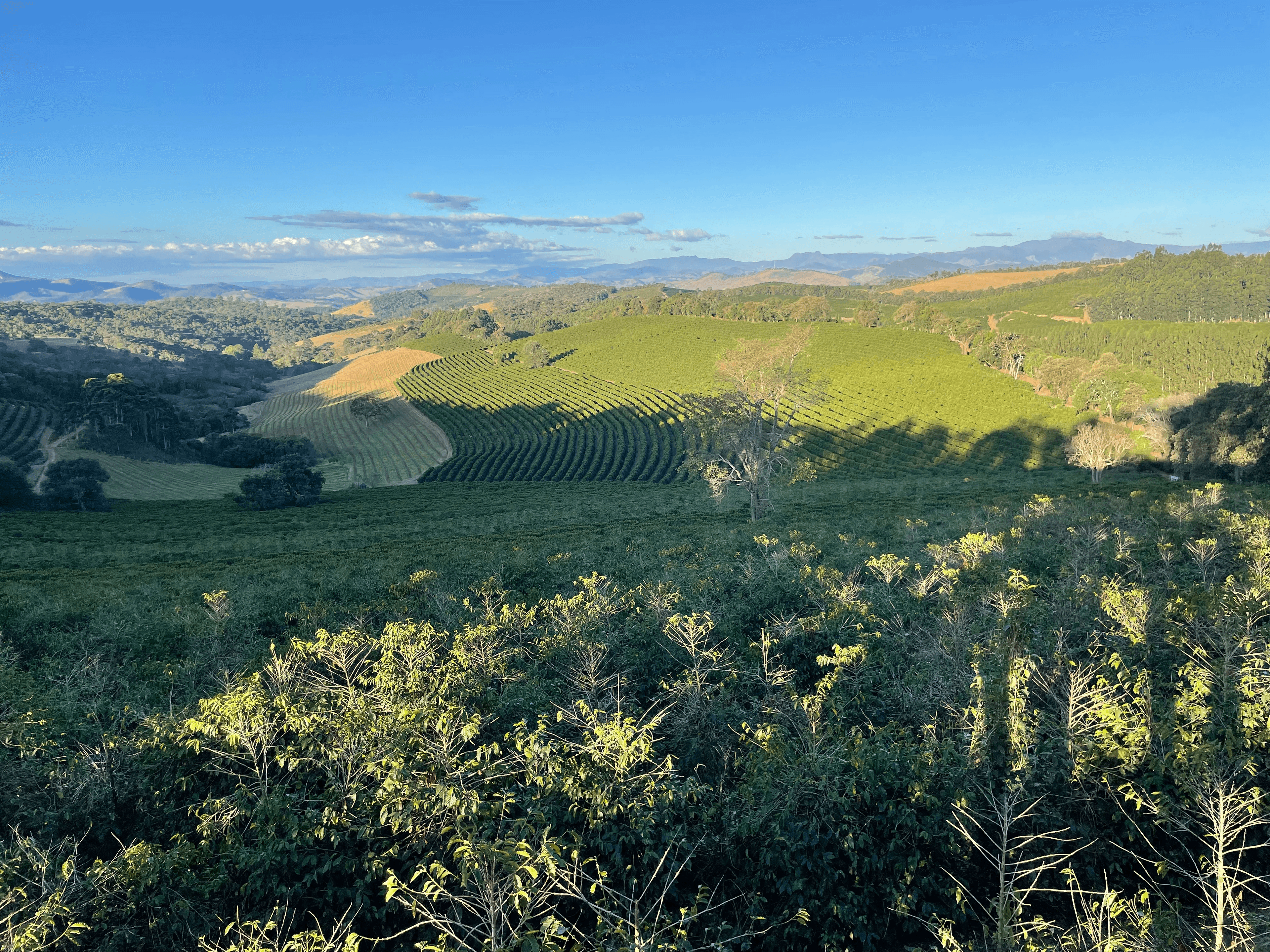 Image of Brazil - Santuario Sul