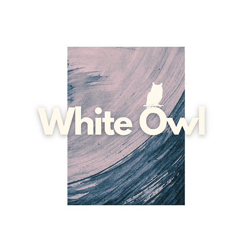 Image of White Owl