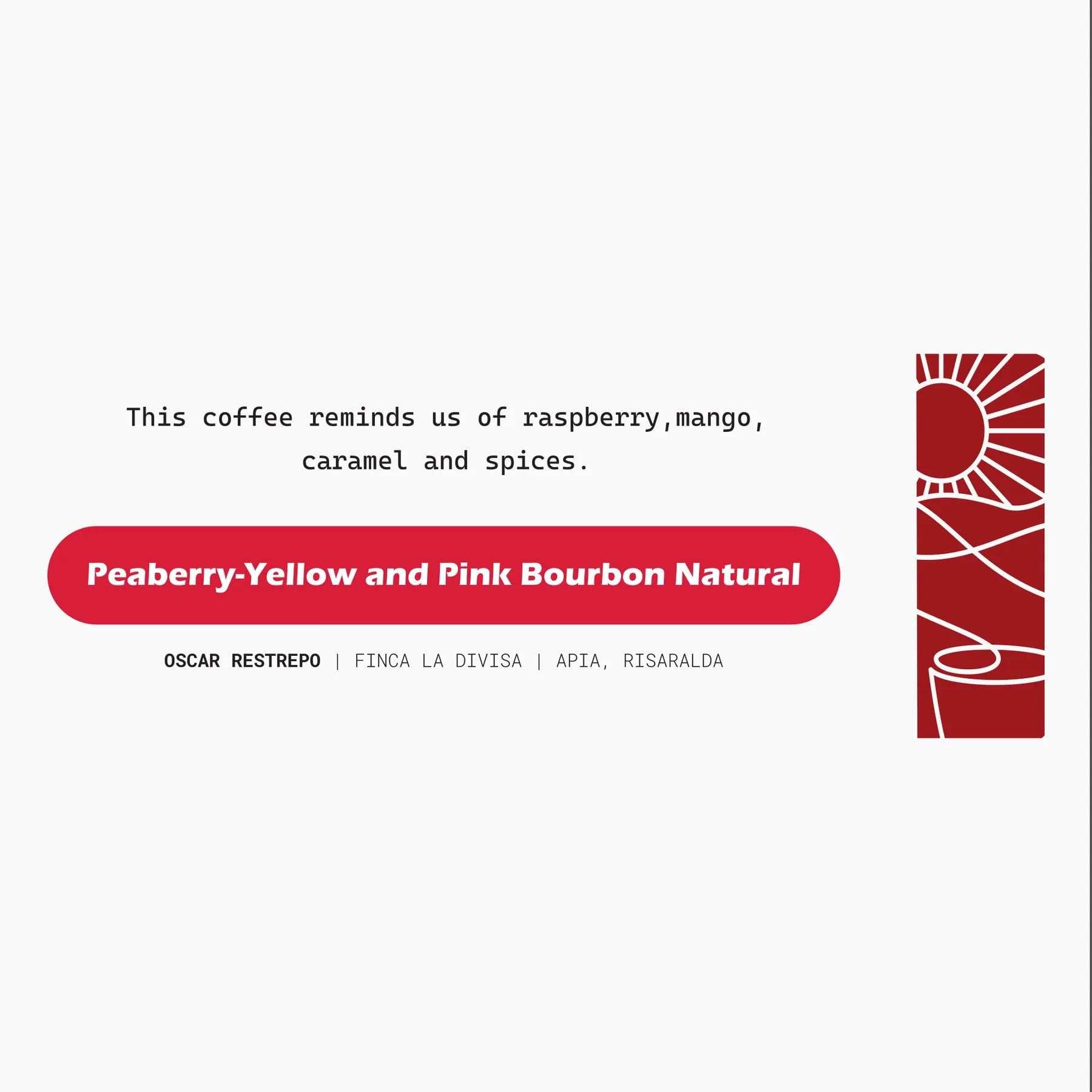 Image of Oscar Restrepos Finca La Divisa Peaberry Yellow Pink Bourbon Natural