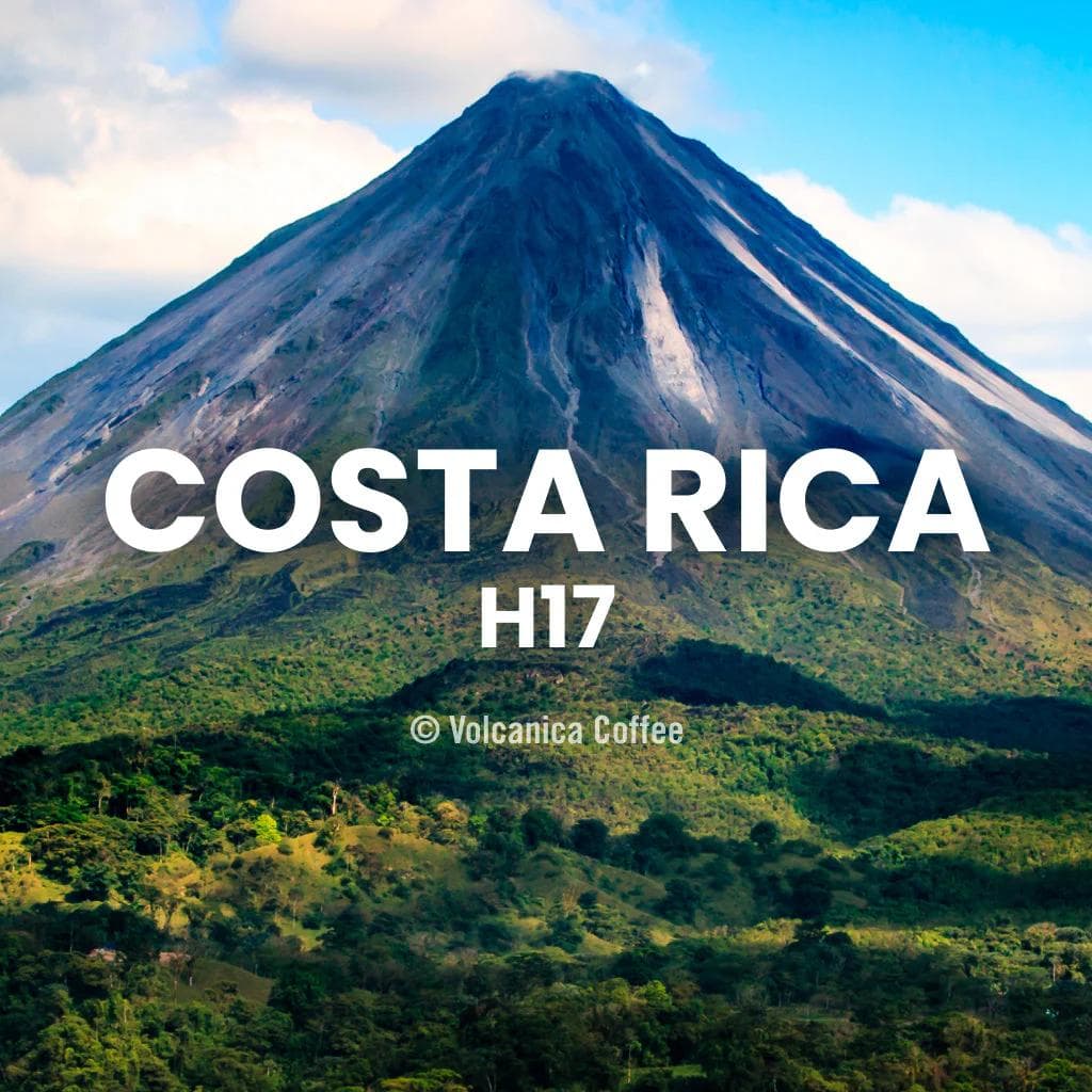 Image of Costa Rica H17 Coffee