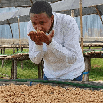 Image of Ethiopia Cup of Excellence