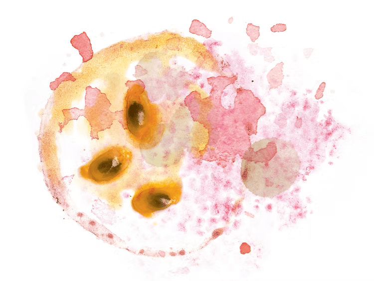 Image of Jairo Decaf Castillo