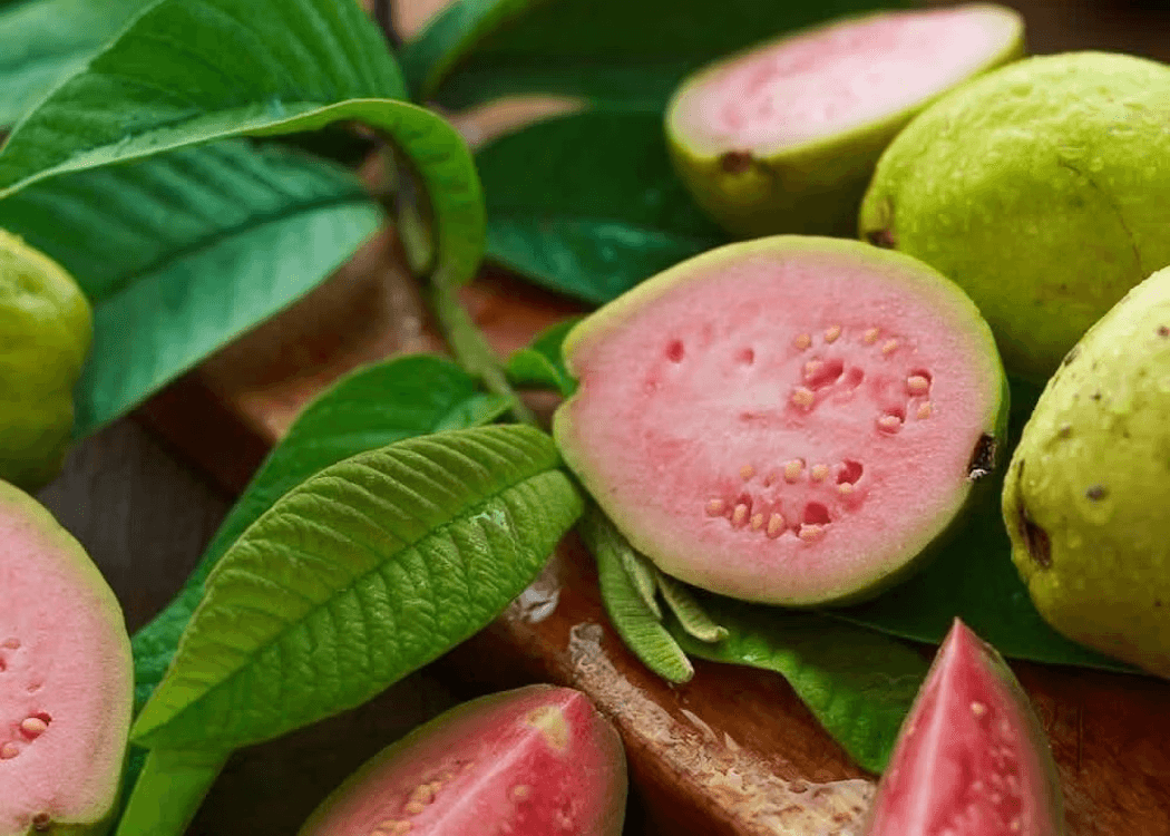 Image of Guava & Chocolate