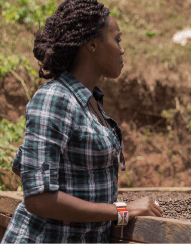 Image of Kenya - Koimbi - Washed