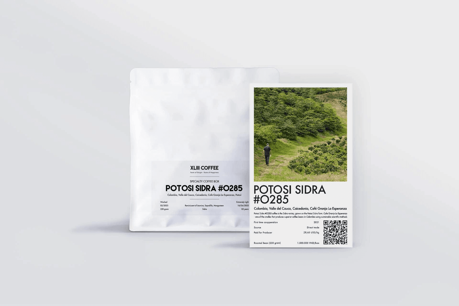 Image of Potosi Sidra 0285