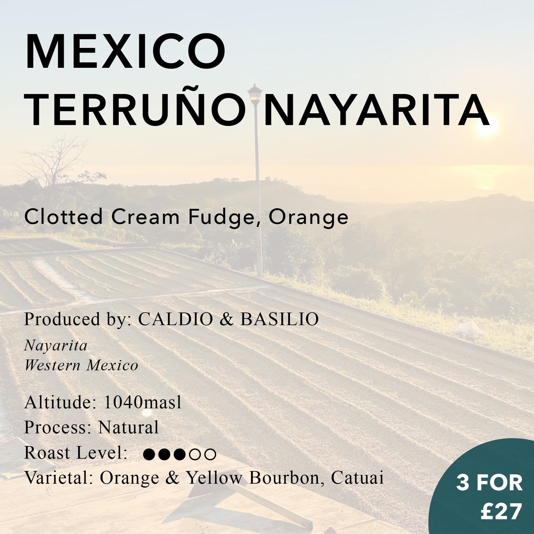 Image of Mexico Terruno Nayarita