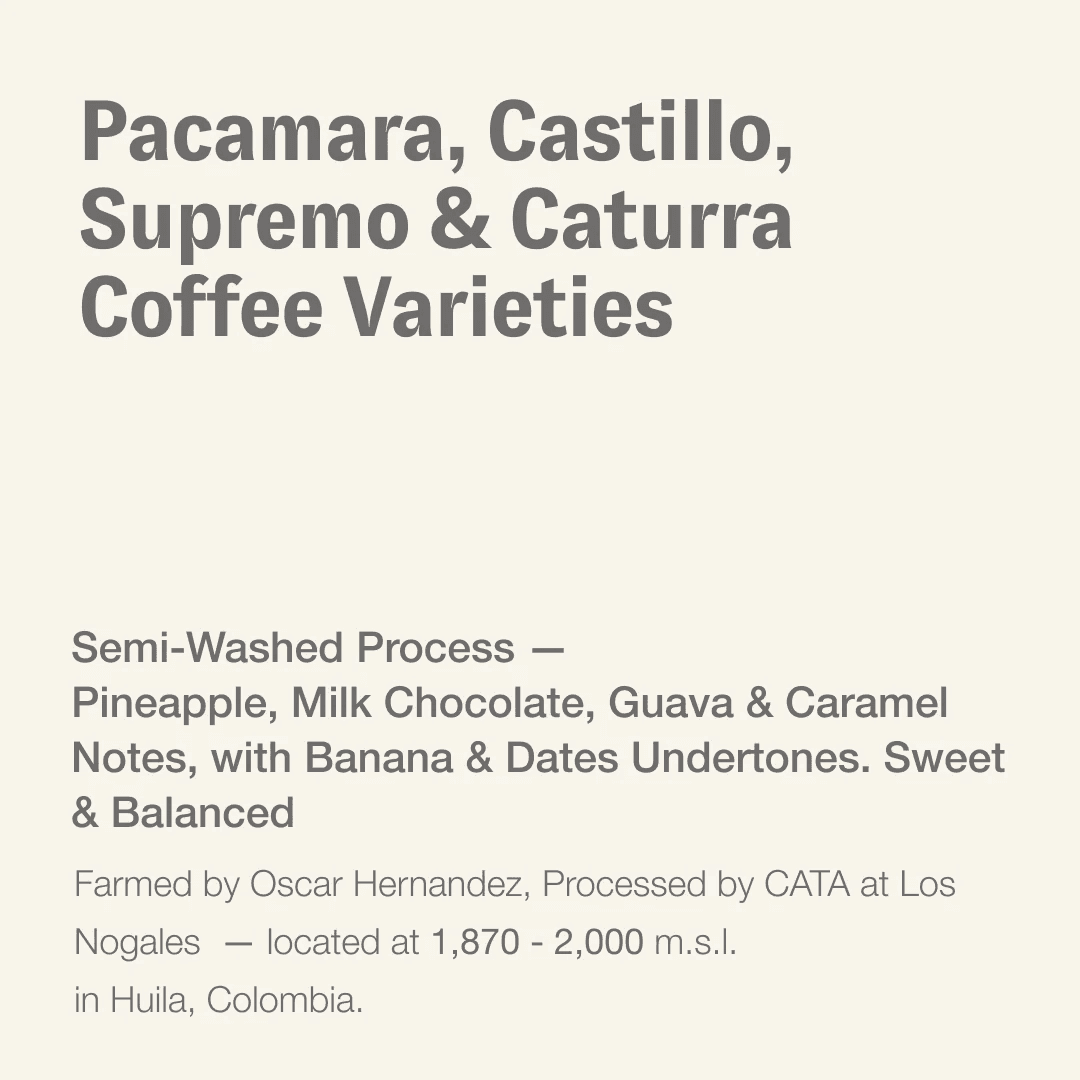 Image of  Pacamara Castillo Supremo and Caturra  Coffee Varieties