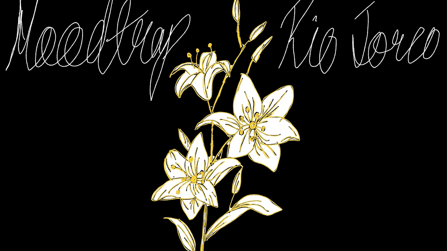 Image of Rio Jorco Roasted Coffee