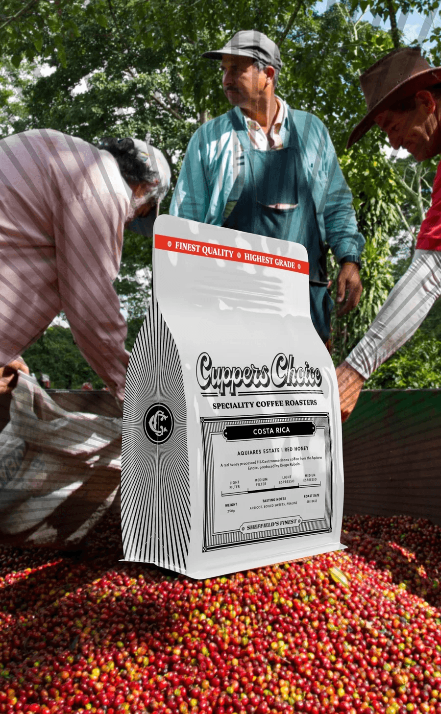 Image of Aquiares - Red Honey - Costa Rica