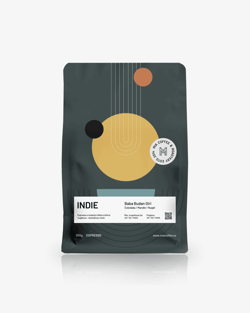 Image of India - Baba Budan Giri