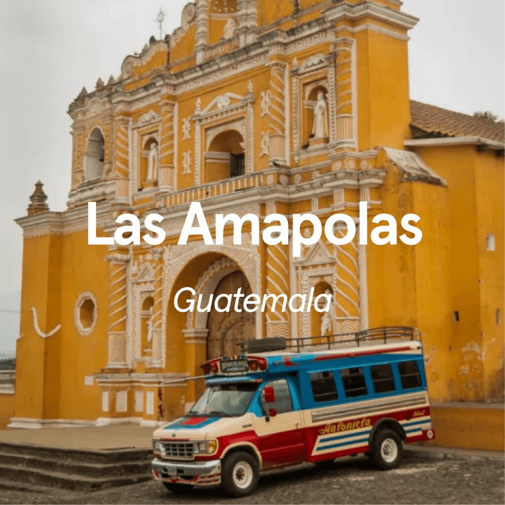 Image of Guatemala Las Amapolas