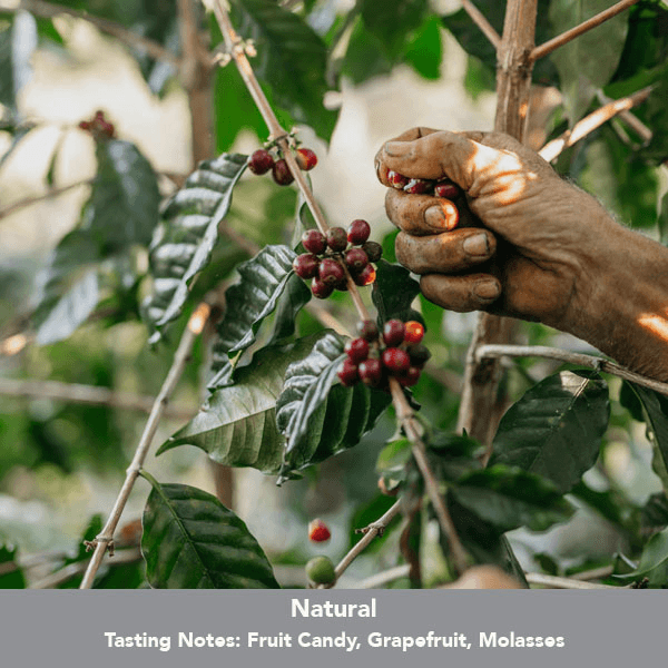 Image of Myanmar Khar Taw Hmi