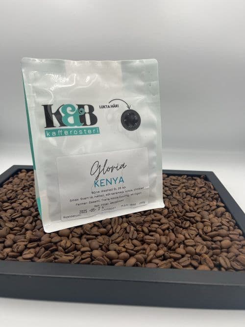 Image of Kenya Gloria SL28 AA Light