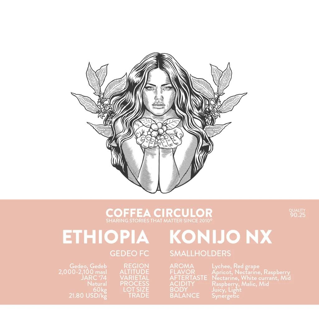 Image of ETHIOPIA Konijo Natural NX