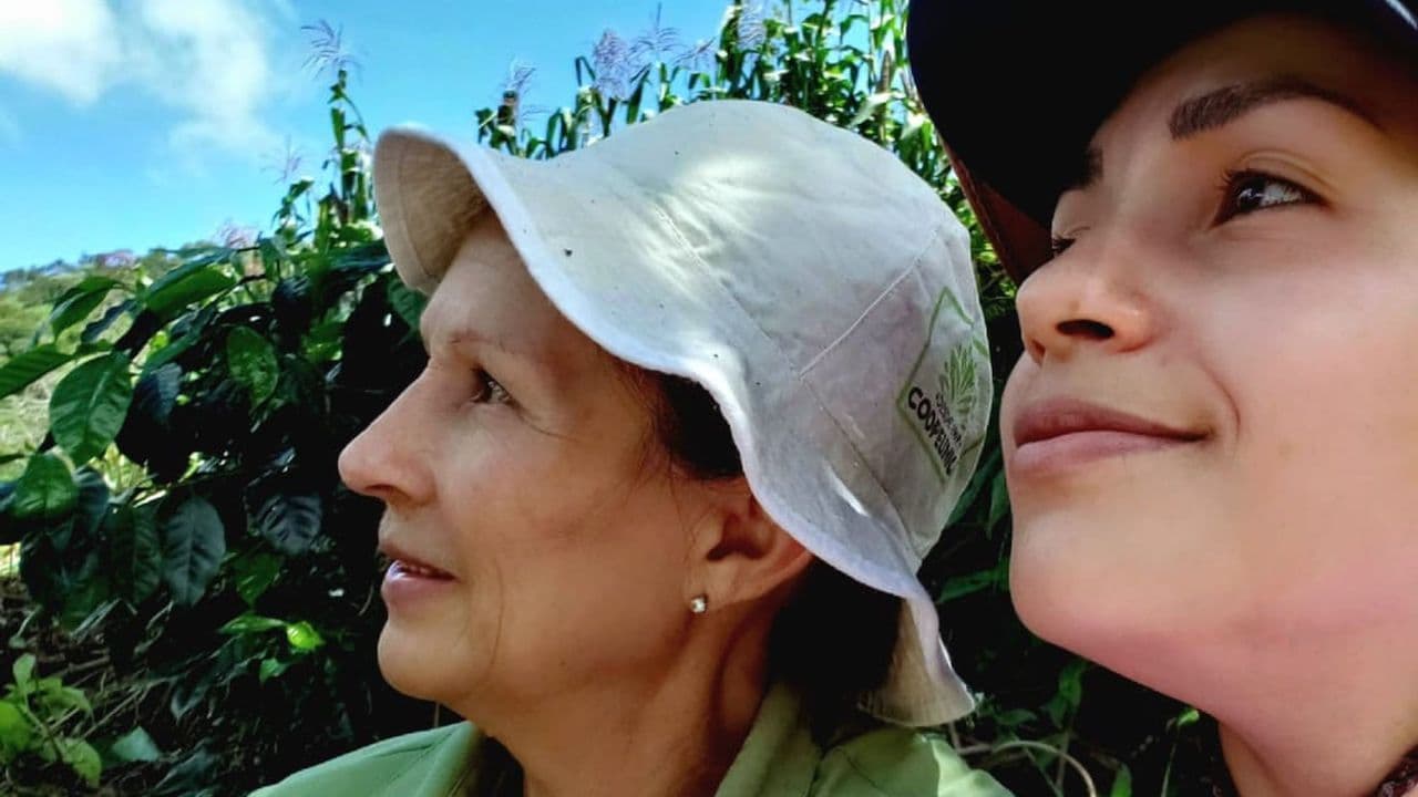 Image of Costa Rica Rosa Aura and Mexico Las Cotorras 