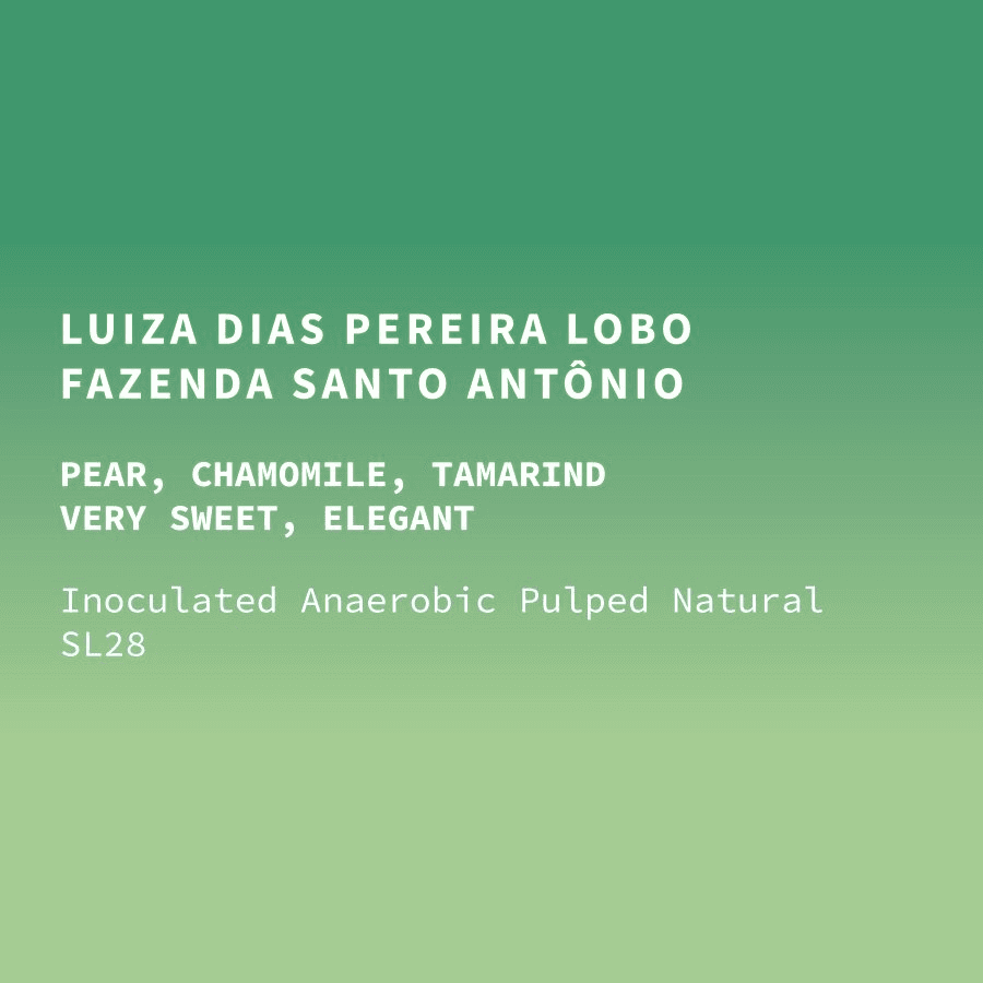 Image of Brazil Cup of Excellence Exp 4