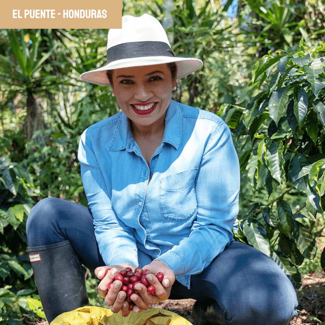 Image of El Puente Honduras