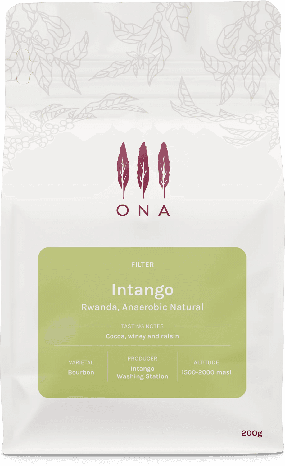 Image of Intango Rwanda Anaerobic Natural