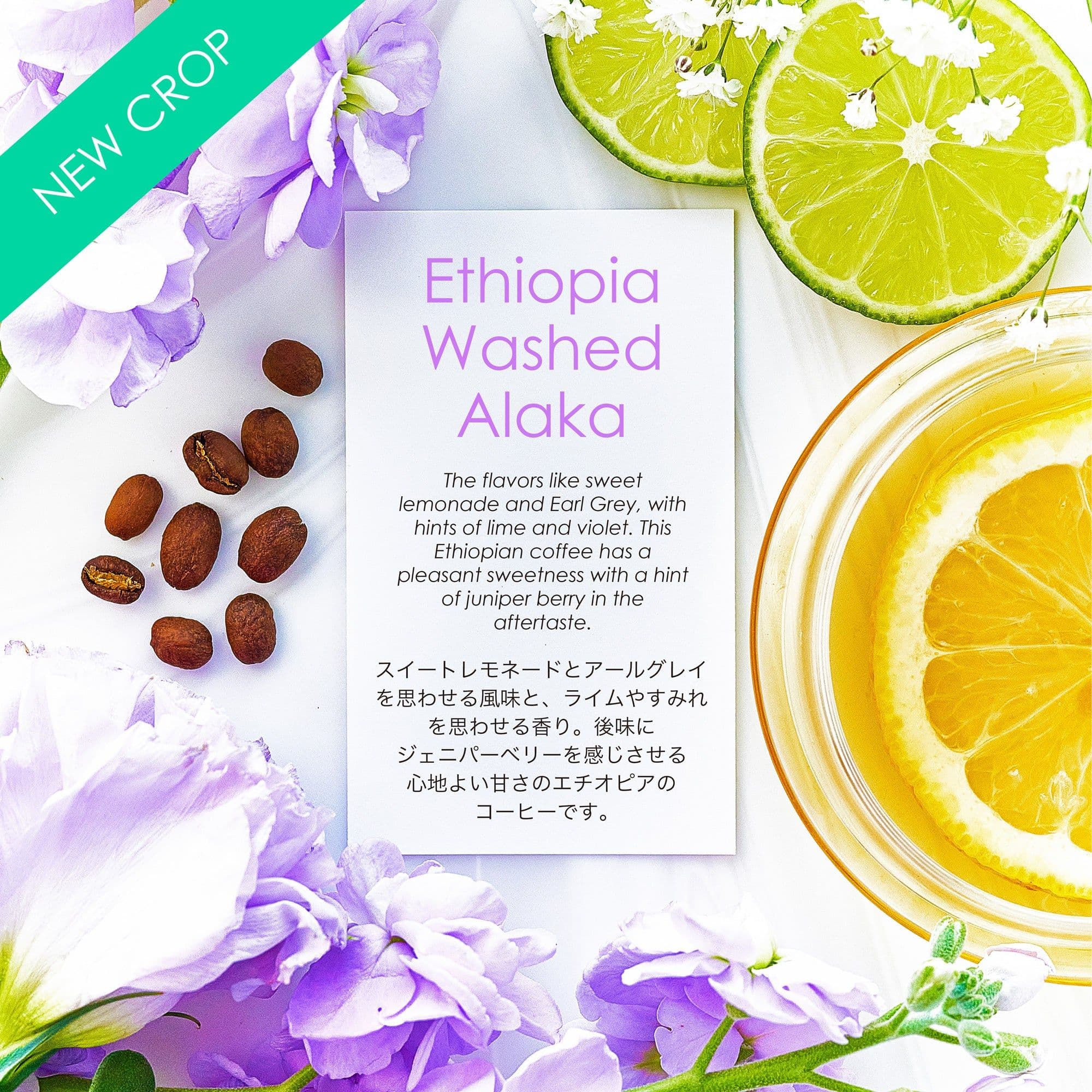 Image of Decaf Ethiopia TADE GG Natural 