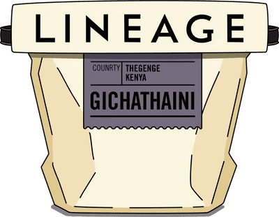 Image of Kenya Gichathaini