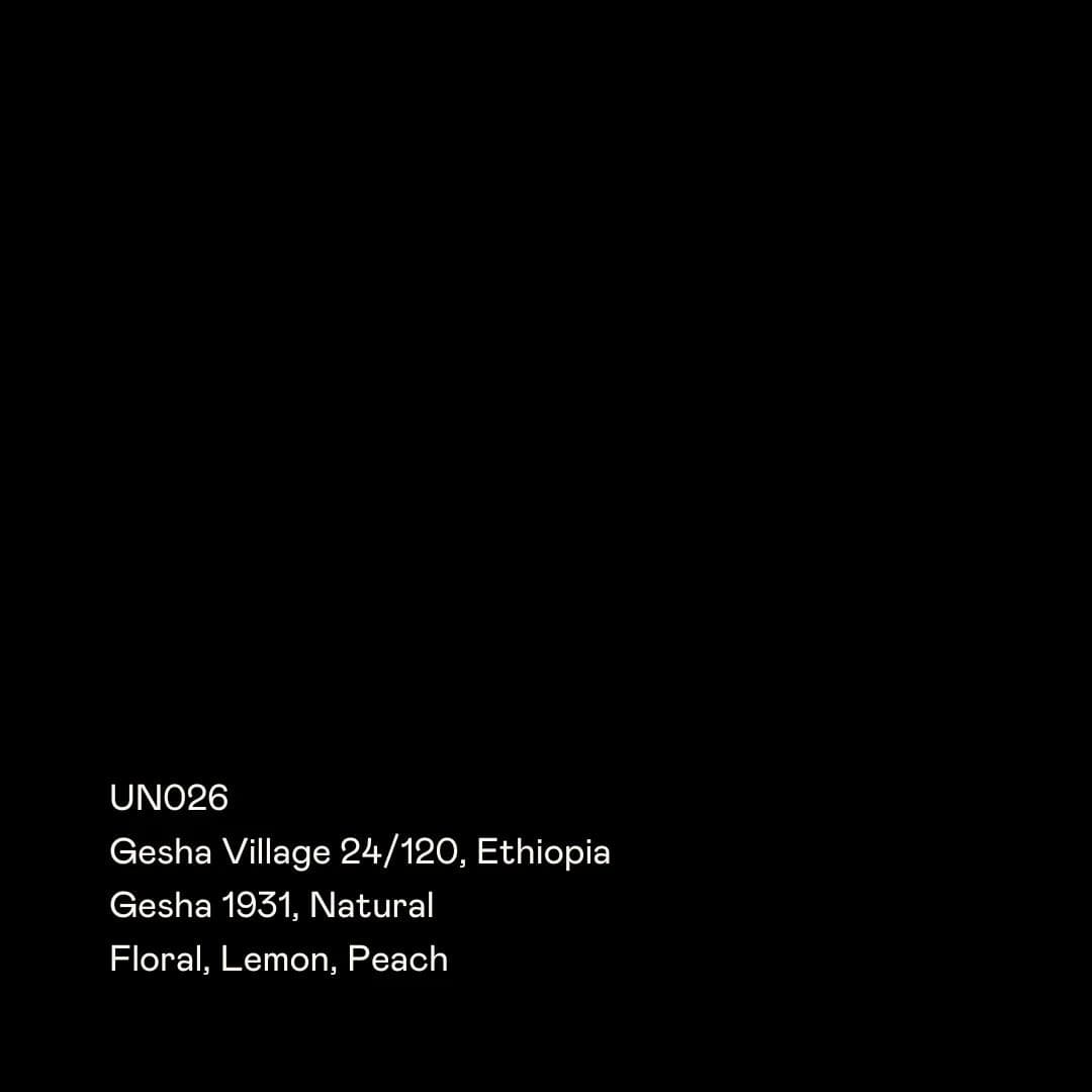 Image of UN026 - Gesha Village 24/120, Gesha 1931 Natural
