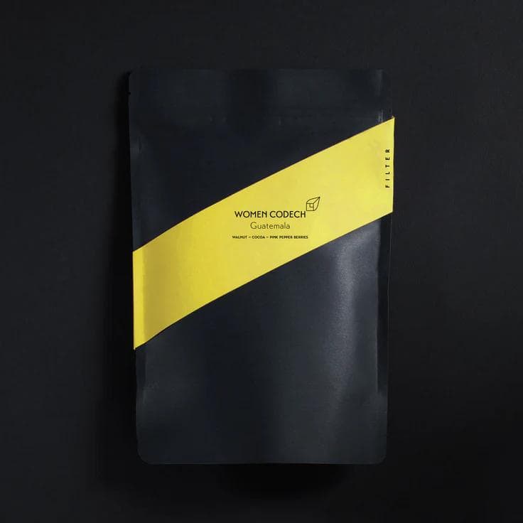 Image of Women CODECH Guatemala Filter